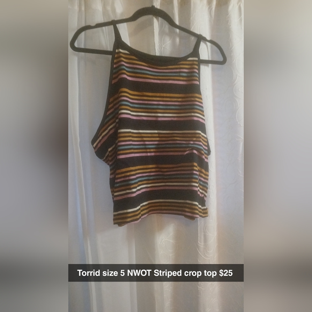 Striped Multicolor Crop Top